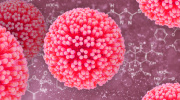 Humanes Papillomavirus (HPV)