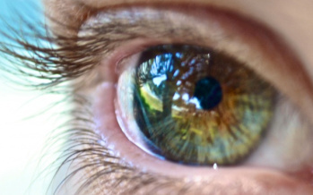 Augen