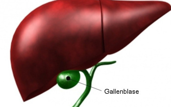 Gallenblase