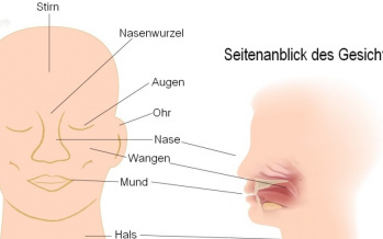 Gesicht