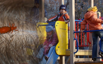 Kinderkollektiv ist ein Paradies für Übertragung der Läuse