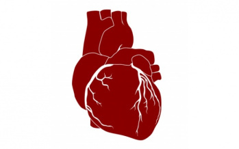 Hypotension