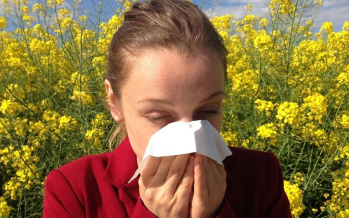 Pollenallergie