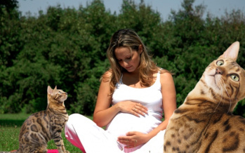 Toxoplasmose