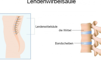 Lendenwirbelsäule