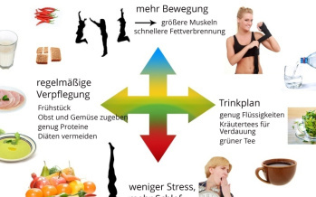 Metabolismus