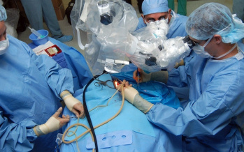 Transplantation