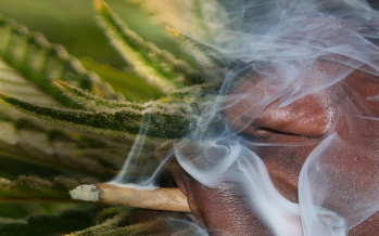 Vergiftung mit Marihuana