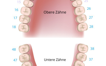 Wie sind die Zähne richtig zu pflegen?