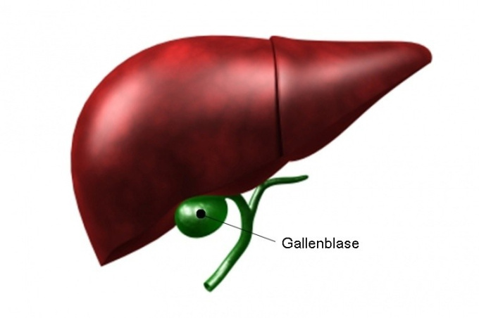 Gallenblase