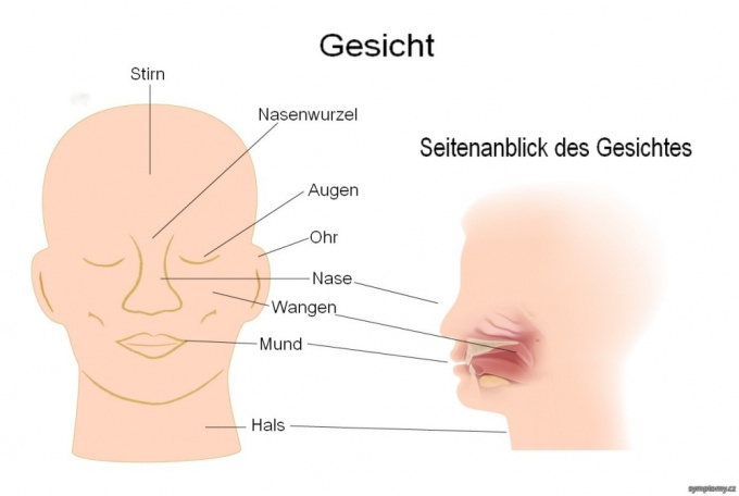 Gesicht