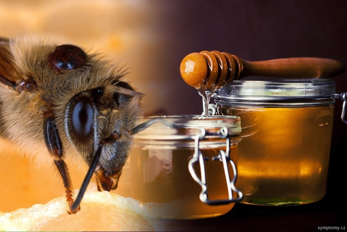 Honig und weitere Bienenprodukte