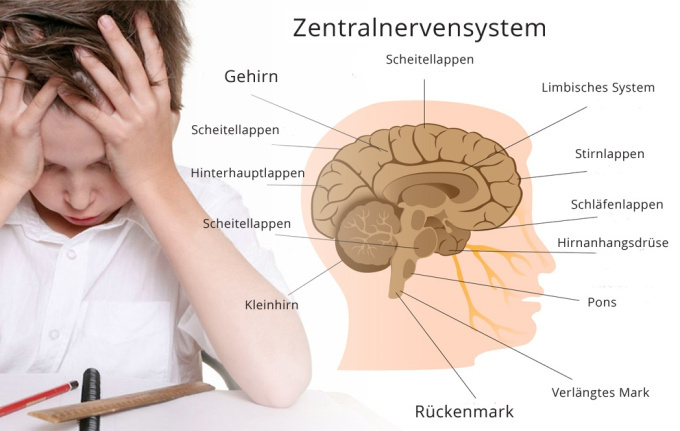 Hyperkinetische Störung