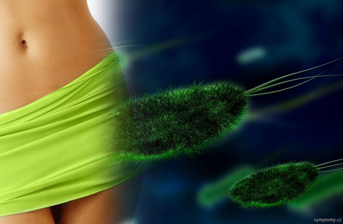 Haemophilus - vaginalis - Infektion