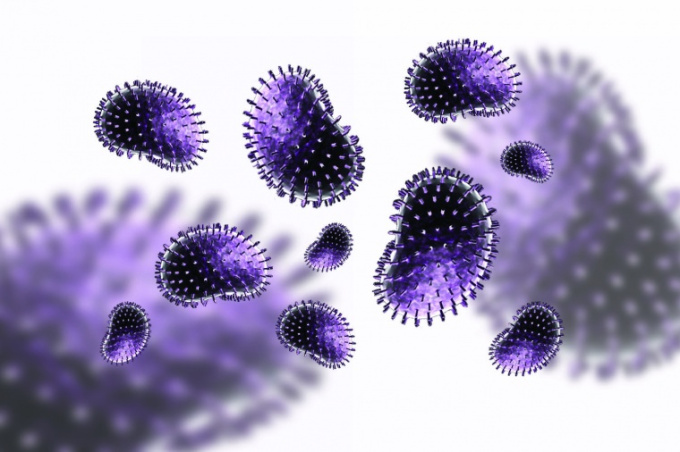 Grippevirus
