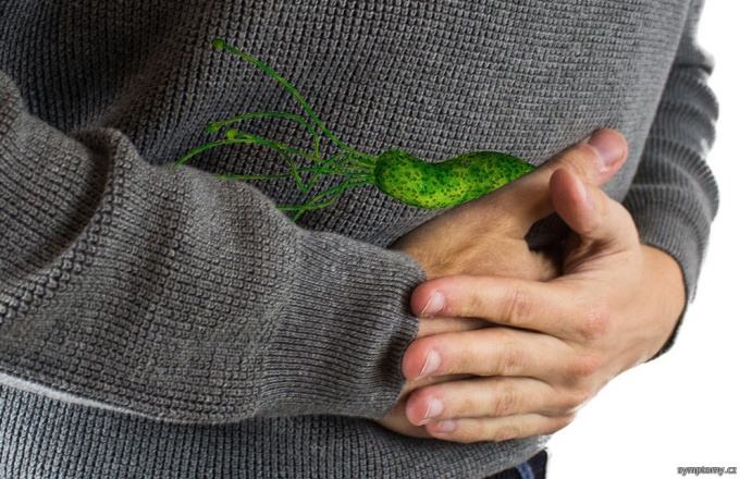 Helicobacter pylori im Bauch