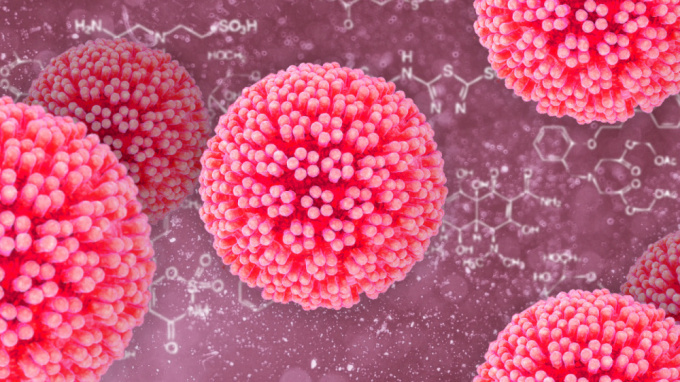 Humanes Papillomavirus