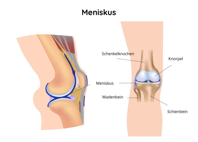 Beschreibung des Kniegelenks