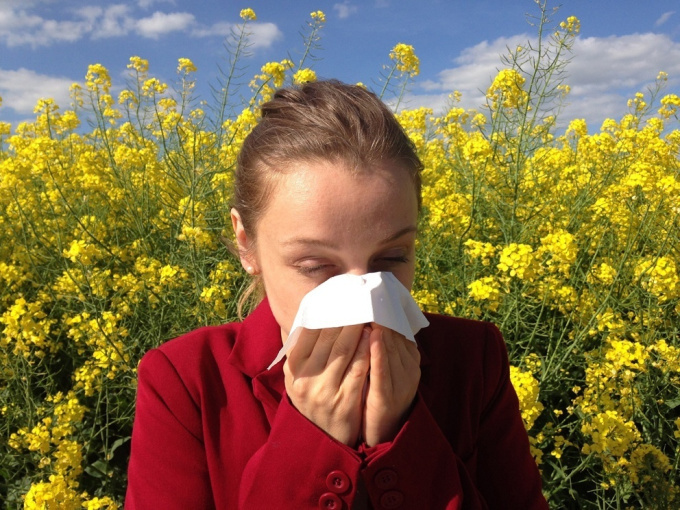 Allergie auf Pollen