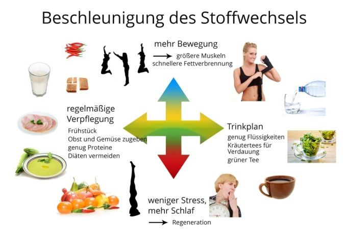 Beschleunigung des Stoffwechsels