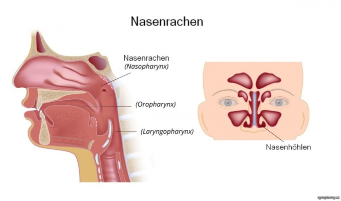 Nasenrachen
