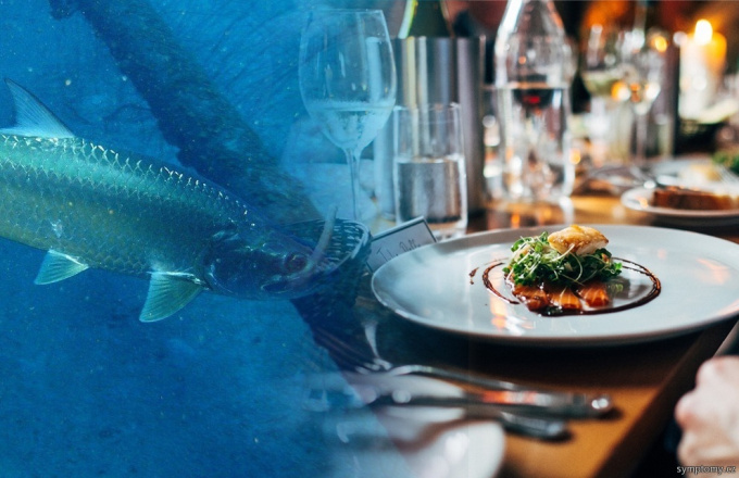 Vergiftung durch Fische