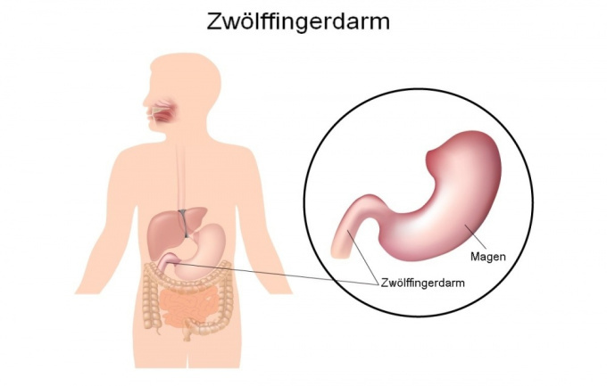 Zwölffingerdarm